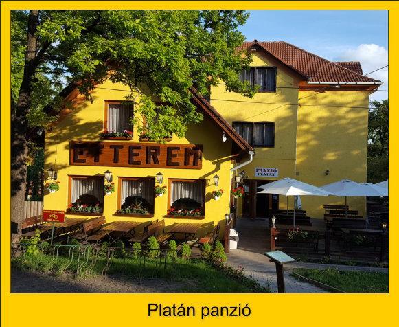 Platan Panzio בית הארחה *
